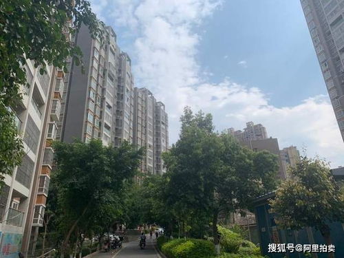 攀枝花锦泰亨房地产破产清算 一住宅39万元起拍，非居住房地产租赁同步处置